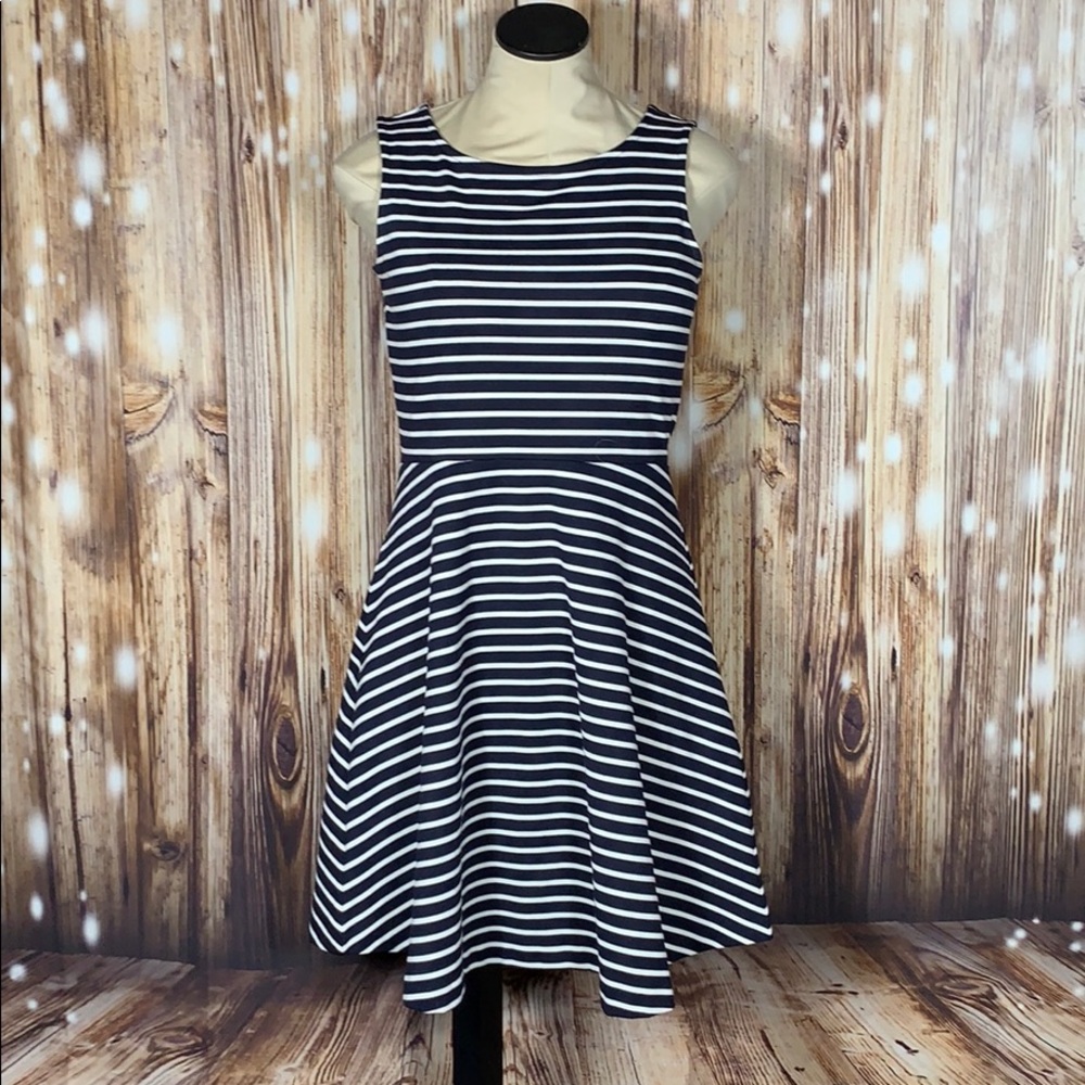 Talbots Sleeveless Fit & Flare Dress M Petite